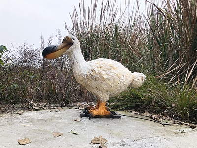 渡渡鳥(niǎo)